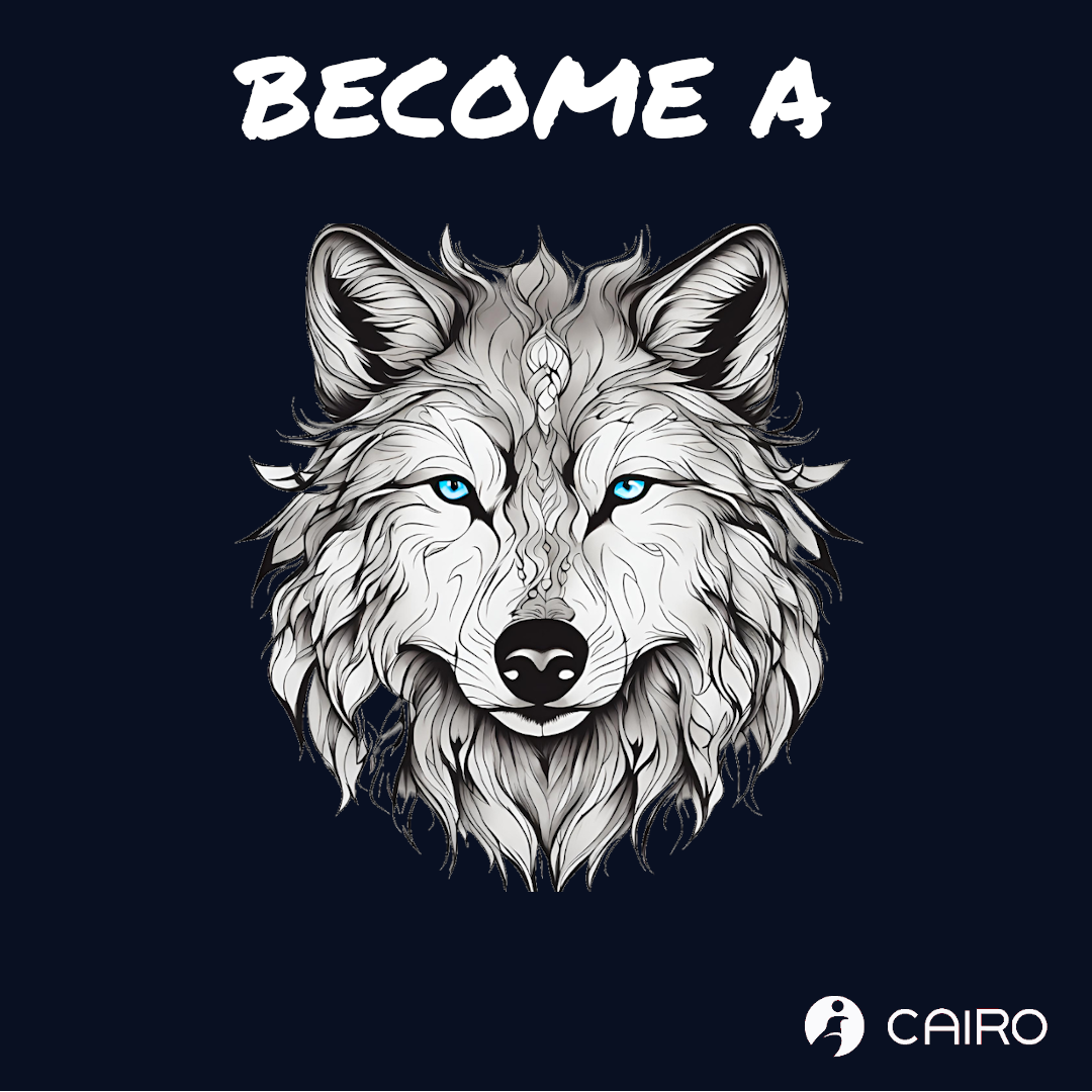 Cairo learning slogan